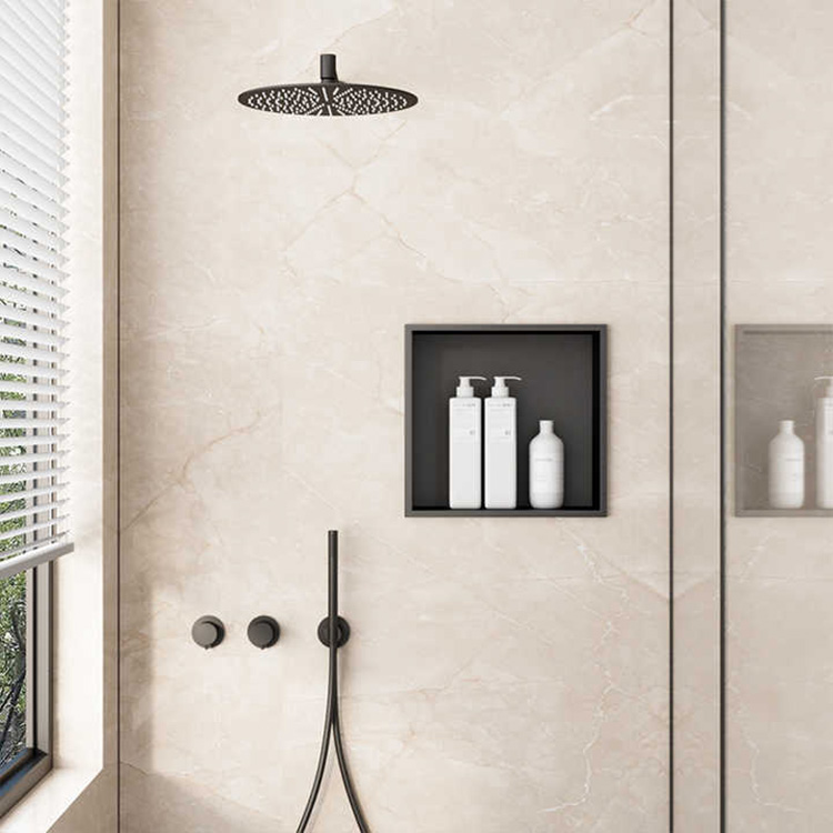 Features of a Mirror-Polished Shower Niche