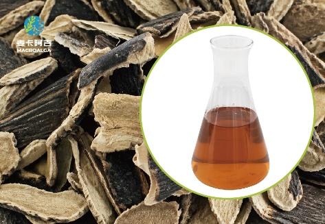 Reliable Original Manufacturer of Ecklonia maxima Extract for Premium Quality Supplements