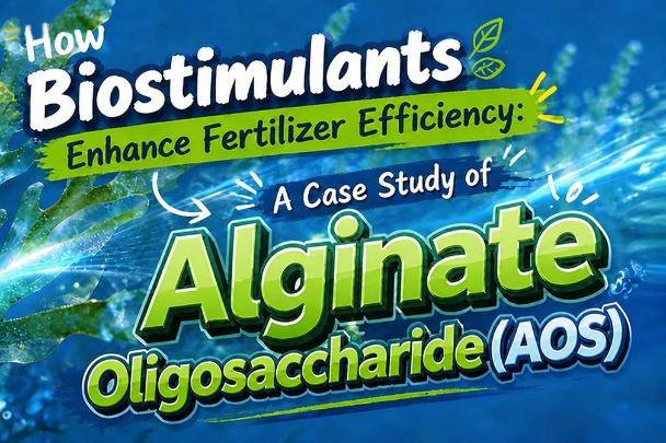 Original Manufacturer of China Fertilizer Additives: Quality and Innovation
