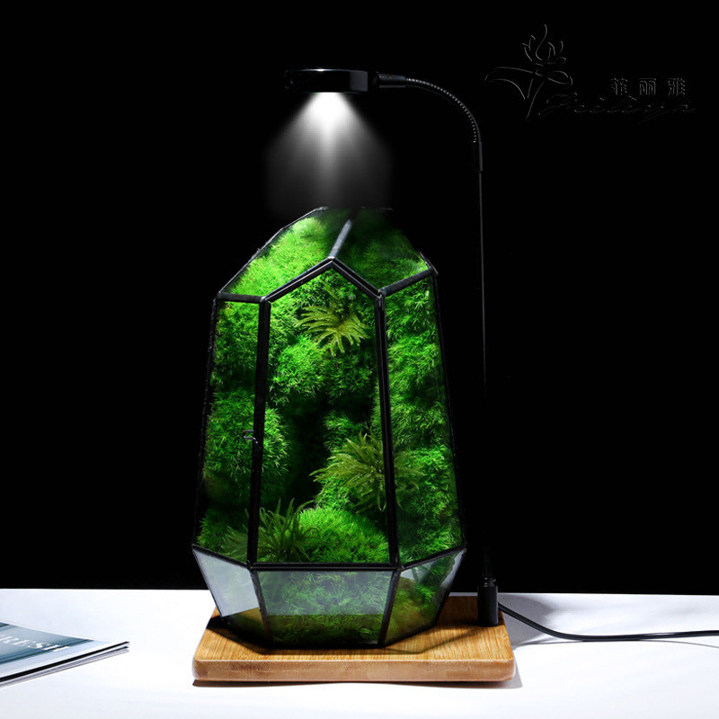 Moss Decorative Factory Crafting Sustainable Moss Wall Art for Modern Interiors
